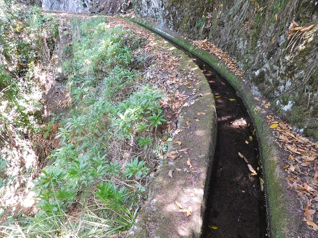 02.08.2015 Levada dos Tornos und das Fajas — Auf der Levada das Faias zur Schlüsselstelle — Foto 17