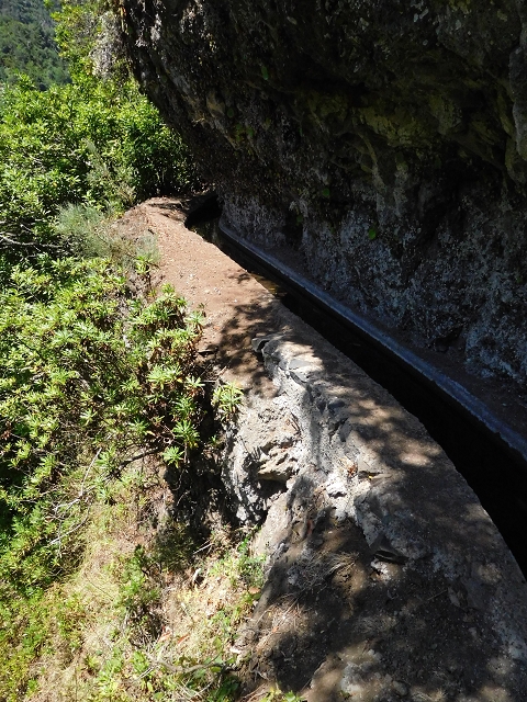 02.08.2015 Levada dos Tornos und das Fajas — Auf der Levada das Faias zur Schlüsselstelle — Foto 19