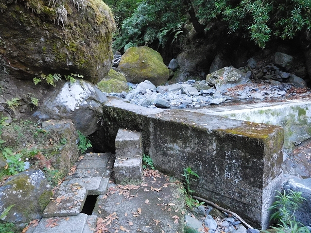 02.08.2015 Levada dos Tornos und das Fajas — Zur Madre der Levada dos Tornos und zurück zum PR-2 — Foto 10