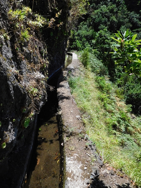 02.08.2015 Levada dos Tornos und das Fajas — Auf der Levada das Faias zur Schlüsselstelle — Foto 20