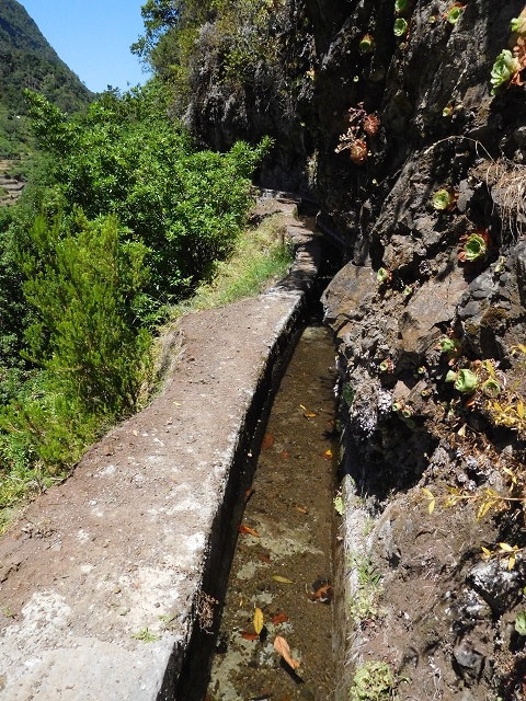02.08.2015 Levada dos Tornos und das Fajas — Auf der Levada das Faias zur Schlüsselstelle — Foto 21