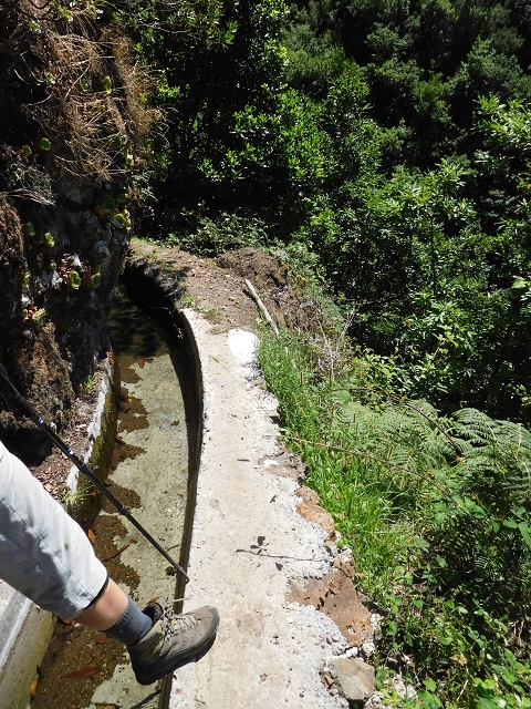 02.08.2015 Levada dos Tornos und das Fajas — Auf der Levada das Faias zur Schlüsselstelle — Foto 22