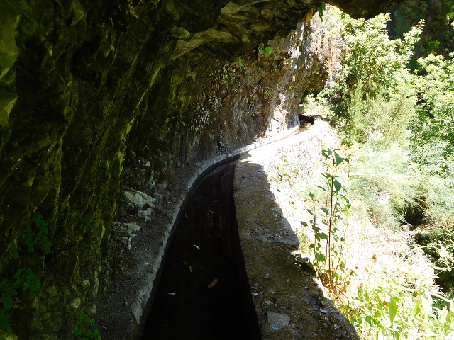 02.08.2015 Levada dos Tornos und das Fajas — Auf der Levada das Faias zur Schlüsselstelle — Foto 23