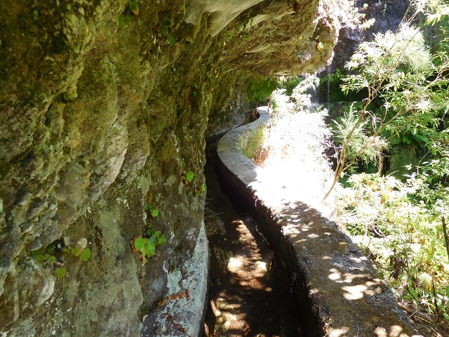 02.08.2015 Levada dos Tornos und das Fajas — Auf der Levada das Faias zur Schlüsselstelle — Foto 24