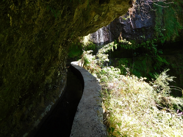 02.08.2015 Levada dos Tornos und das Fajas — Auf der Levada das Faias zur Schlüsselstelle — Foto 25