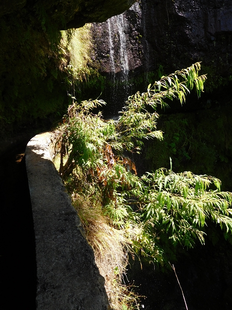 02.08.2015 Levada dos Tornos und das Fajas — Die Schlüsselstelle — Foto 1