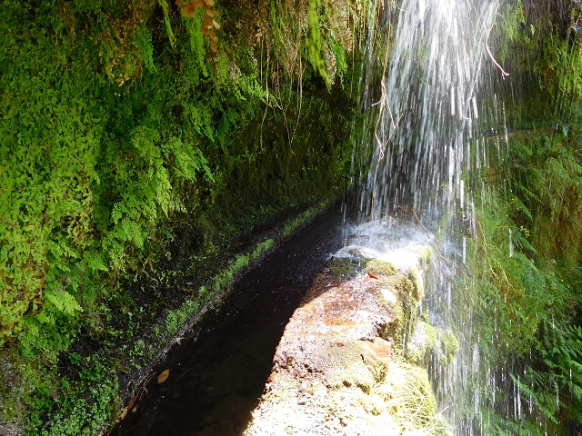 02.08.2015 Levada dos Tornos und das Fajas — Die Schlüsselstelle — Foto 2