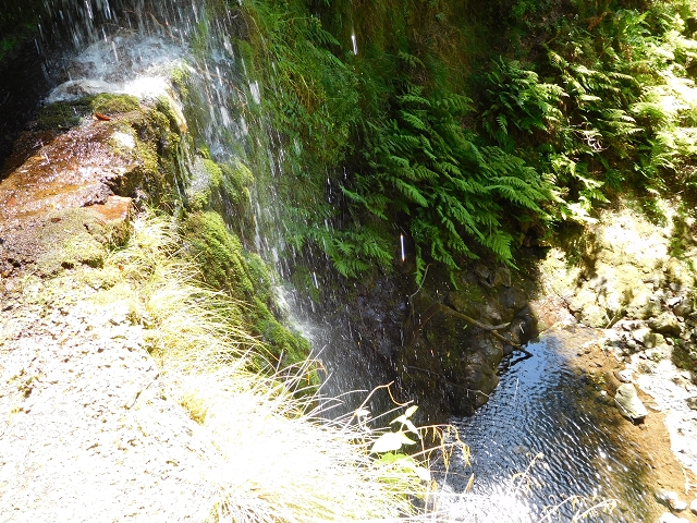 02.08.2015 Levada dos Tornos und das Fajas — Die Schlüsselstelle — Foto 3