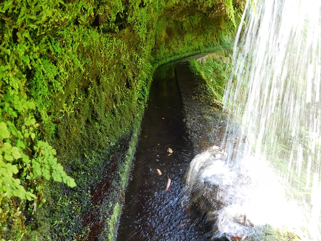 02.08.2015 Levada dos Tornos und das Fajas — Die Schlüsselstelle — Foto 4