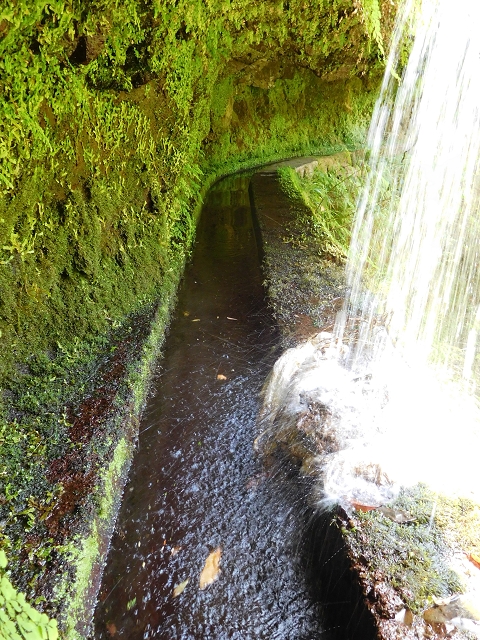 02.08.2015 Levada dos Tornos und das Fajas — Die Schlüsselstelle — Foto 5