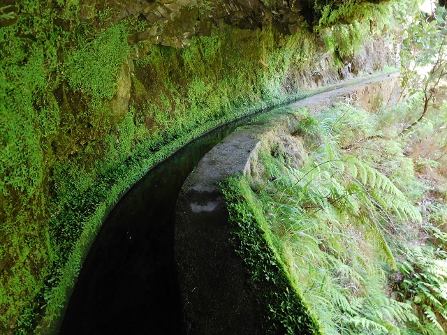 02.08.2015 Levada dos Tornos und das Fajas — Die Schlüsselstelle — Foto 6