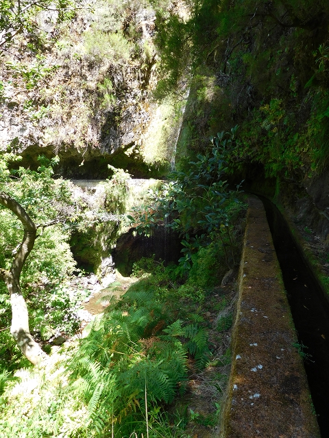 02.08.2015 Levada dos Tornos und das Fajas — Die Schlüsselstelle — Foto 7