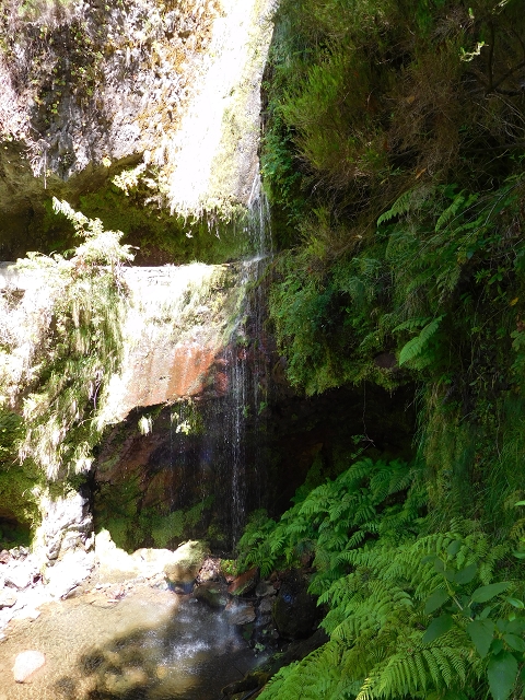 02.08.2015 Levada dos Tornos und das Fajas — Die Schlüsselstelle — Foto 8