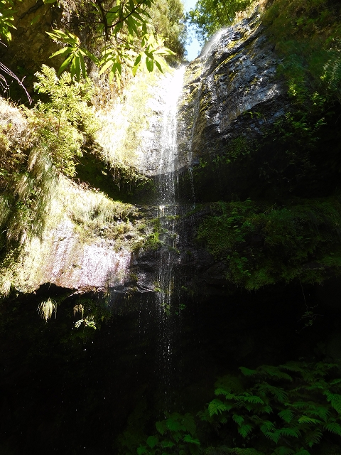 02.08.2015 Levada dos Tornos und das Fajas — Die Schlüsselstelle — Foto 9