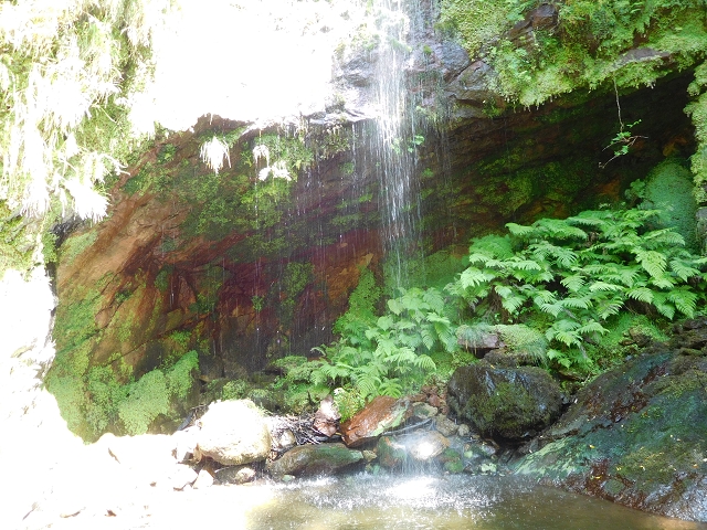 02.08.2015 Levada dos Tornos und das Fajas — Die Schlüsselstelle — Foto 10