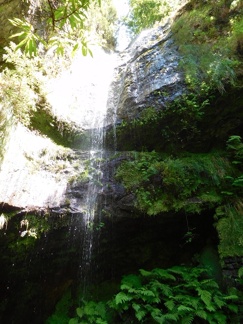 02.08.2015 Levada dos Tornos und das Fajas — Die Schlüsselstelle — Foto 12