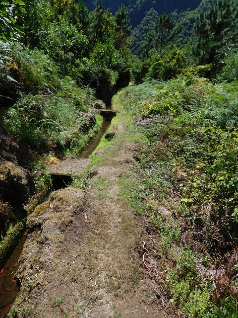 02.08.2015 Levada dos Tornos und das Fajas — Weiter zur Madre — Foto 1