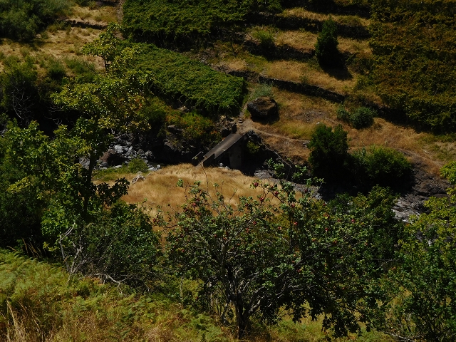 02.08.2015 Levada dos Tornos und das Fajas — Weiter zur Madre — Foto 5