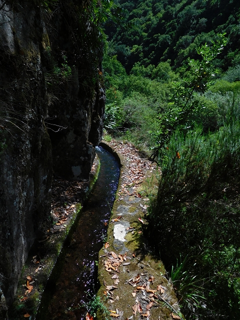 02.08.2015 Levada dos Tornos und das Fajas — Weiter zur Madre — Foto 8