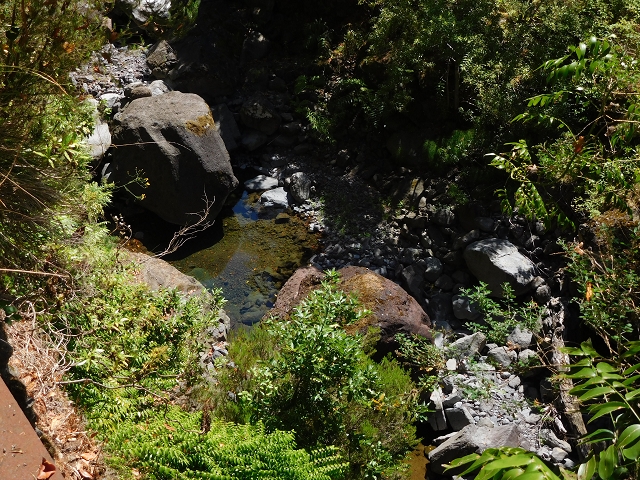 02.08.2015 Levada dos Tornos und das Fajas — Weiter zur Madre — Foto 9