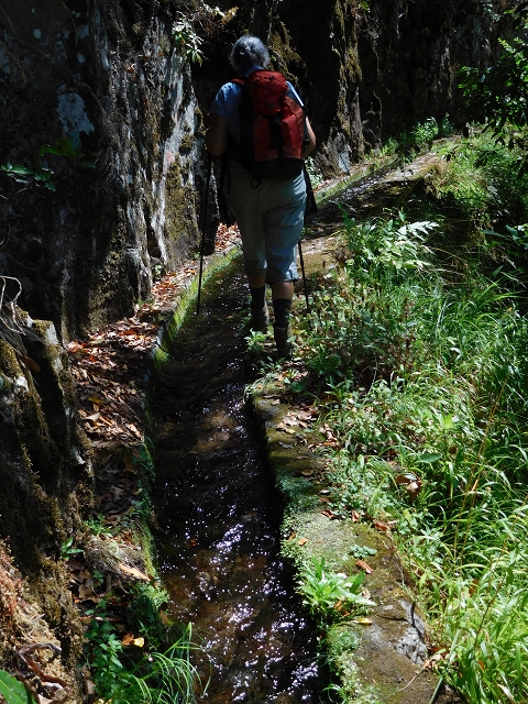 02.08.2015 Levada dos Tornos und das Fajas — Weiter zur Madre — Foto 11