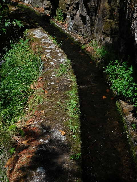 02.08.2015 Levada dos Tornos und das Fajas — Weiter zur Madre — Foto 12