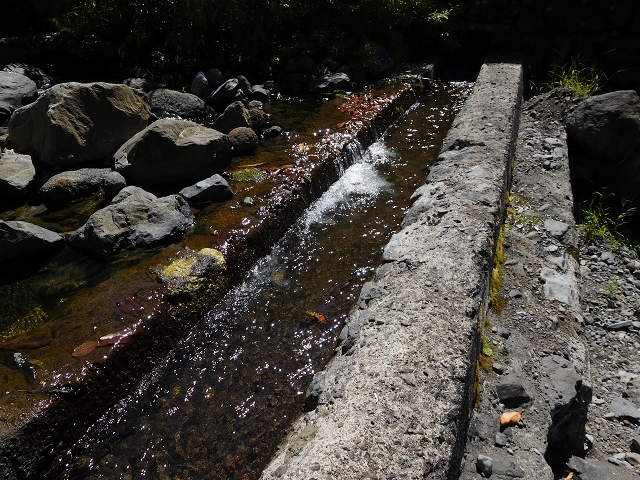 02.08.2015 Levada dos Tornos und das Fajas — Weiter zur Madre — Foto 14