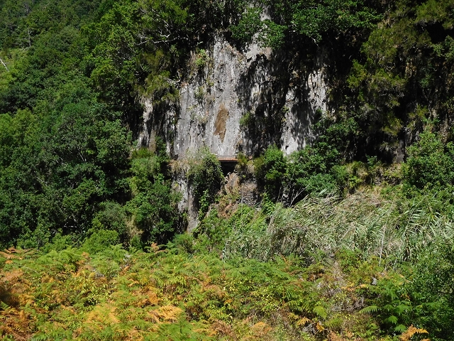 02.08.2015 Levada dos Tornos und das Fajas — Weiter zur Madre — Foto 16