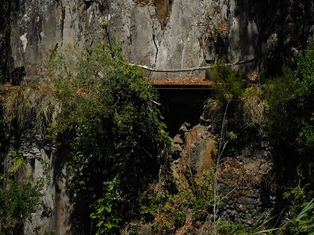 02.08.2015 Levada dos Tornos und das Fajas — Weiter zur Madre — Foto 17