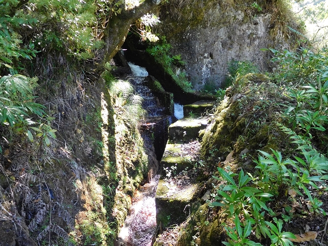 02.08.2015 Levada dos Tornos und das Fajas — Weiter zur Madre — Foto 18
