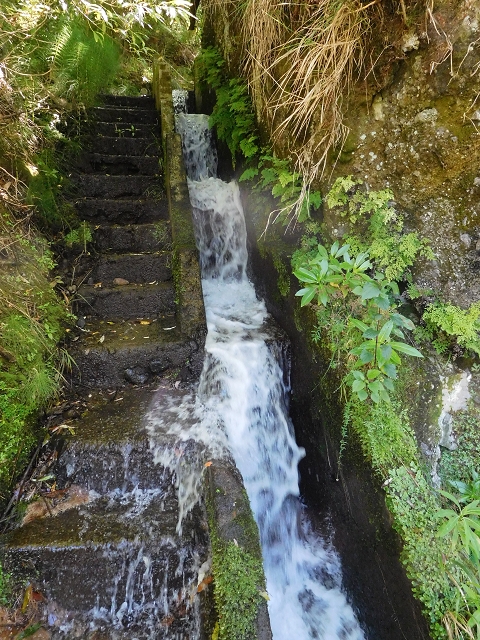02.08.2015 Levada dos Tornos und das Fajas — Weiter zur Madre — Foto 19