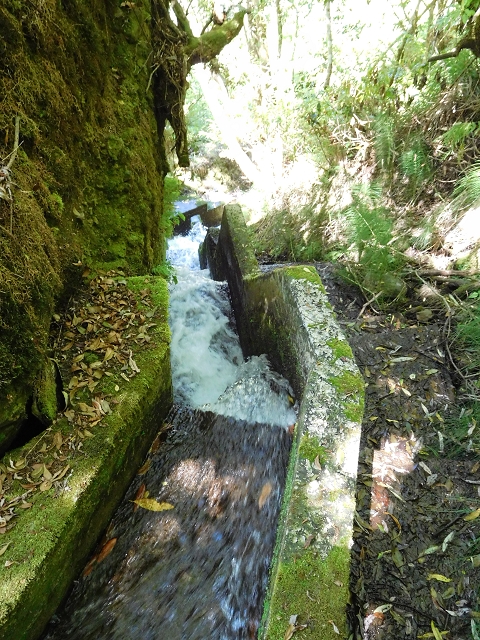 02.08.2015 Levada dos Tornos und das Fajas — Weiter zur Madre — Foto 20
