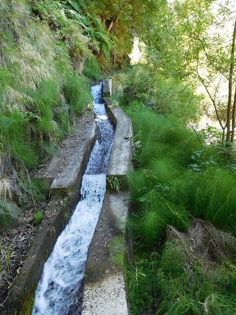 02.08.2015 Levada dos Tornos und das Fajas — Weiter zur Madre — Foto 21