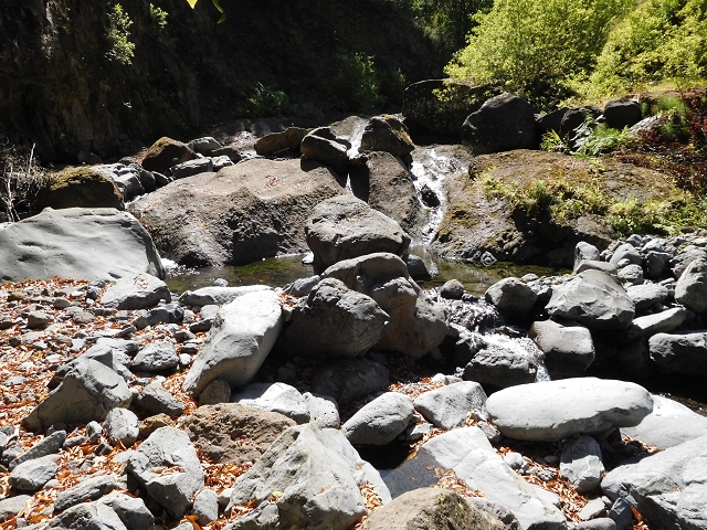 02.08.2015 Levada dos Tornos und das Fajas — Weiter zur Madre — Foto 22