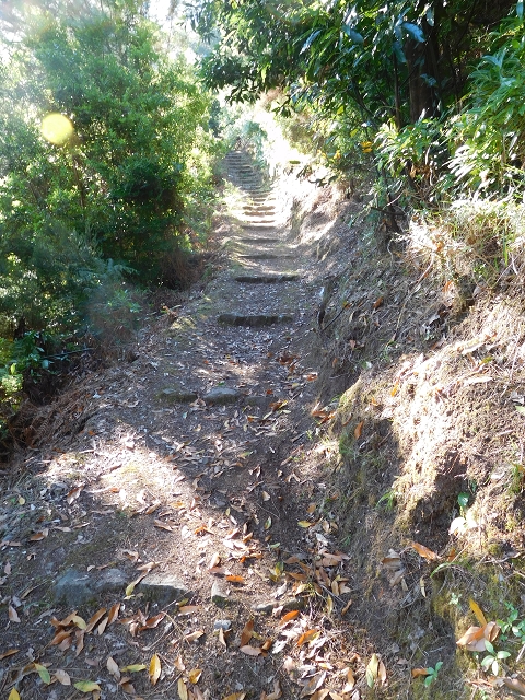 02.08.2015 Levada dos Tornos und das Fajas — Aufstieg auf dem PR-2 — Foto 2