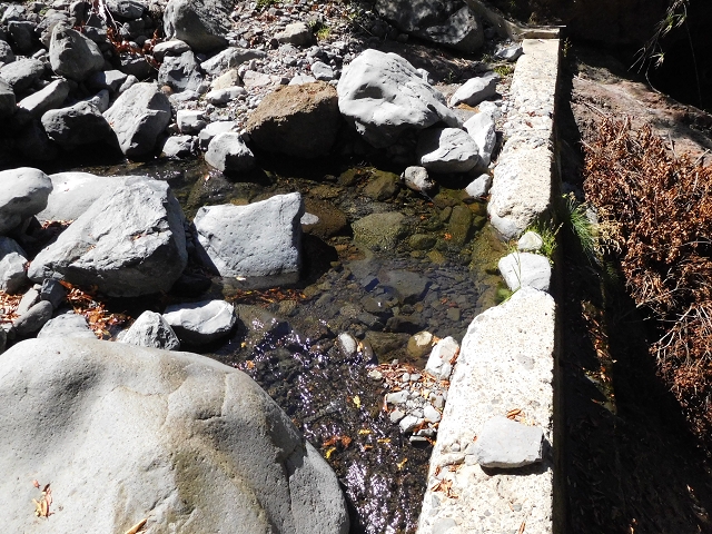 02.08.2015 Levada dos Tornos und das Fajas — Weiter zur Madre — Foto 23