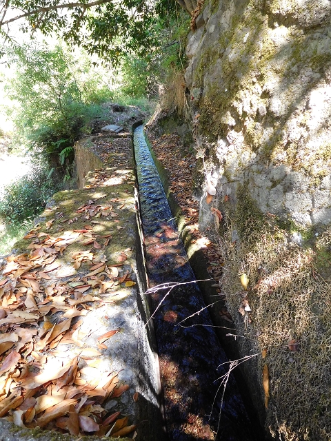 02.08.2015 Levada dos Tornos und das Fajas — Weiter zur Madre — Foto 24