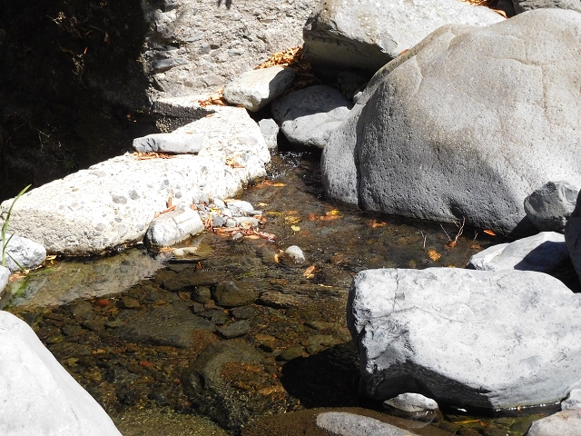 02.08.2015 Levada dos Tornos und das Fajas — Weiter zur Madre — Foto 25