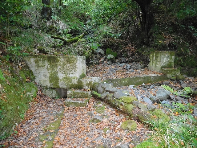 02.08.2015 Levada dos Tornos und das Fajas — Zur Madre der Levada dos Tornos und zurück zum PR-2 — Foto 16