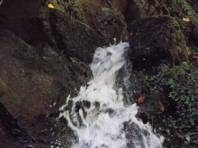 02.08.2015 Levada dos Tornos und das Fajas — Zur Madre der Levada dos Tornos und zurück zum PR-2 — Foto 23