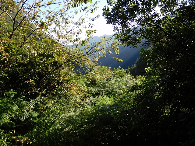 02.08.2015 Levada dos Tornos und das Fajas — Aufstieg auf dem PR-2 — Foto 3