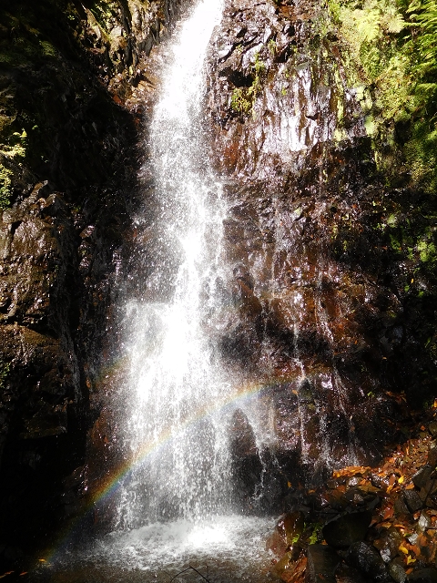 02.08.2015 Levada dos Tornos und das Fajas — Zur Madre der Levada dos Tornos und zurück zum PR-2 — Foto 31