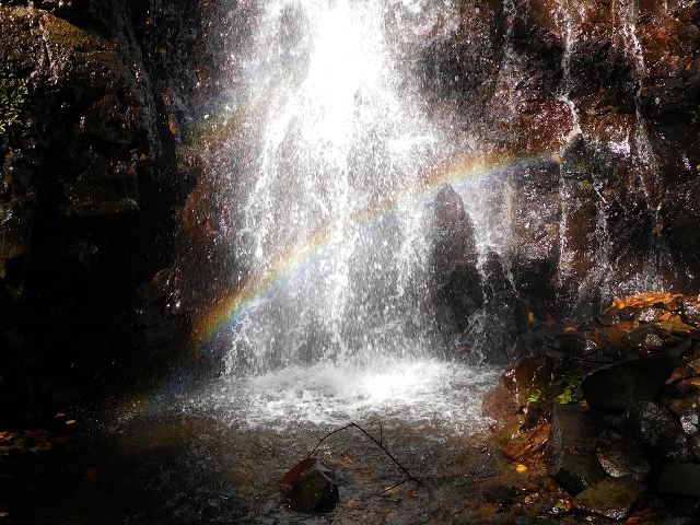 02.08.2015 Levada dos Tornos und das Fajas — Zur Madre der Levada dos Tornos und zurück zum PR-2 — Foto 32