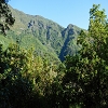 02.08.2015 Levada dos Tornos und das Fajas — Aufstieg auf dem PR-2 — Foto 4