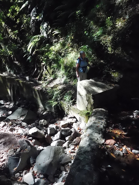 02.08.2015 Levada dos Tornos und das Fajas — Zur Madre der Levada dos Tornos und zurück zum PR-2 — Foto 34