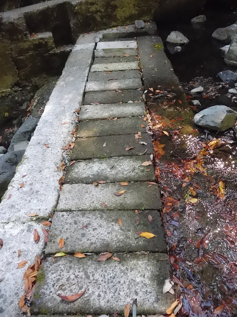 02.08.2015 Levada dos Tornos und das Fajas — Zur Madre der Levada dos Tornos und zurück zum PR-2 — Foto 38