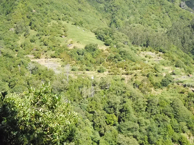 02.08.2015 Levada dos Tornos und das Fajas — Zur Madre der Levada dos Tornos und zurück zum PR-2 — Foto 39
