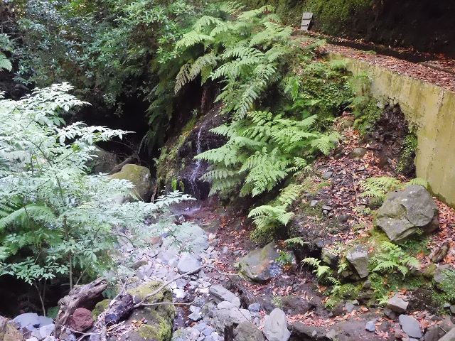02.08.2015 Levada dos Tornos und das Fajas — Vom PR-2 zur Ribeira do Joao Fernandes — Foto 2