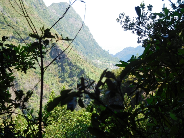 02.08.2015 Levada dos Tornos und das Fajas — Vom PR-2 zur Ribeira do Joao Fernandes — Foto 3