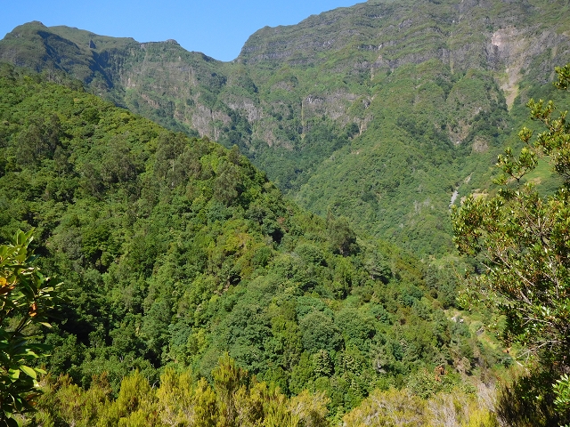 02.08.2015 Levada dos Tornos und das Fajas — Vom PR-2 zur Ribeira do Joao Fernandes — Foto 4